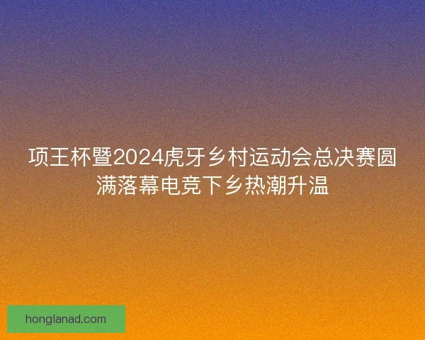 项王杯暨2024虎牙乡村运动会总决赛圆满落幕电竞下乡热潮升温